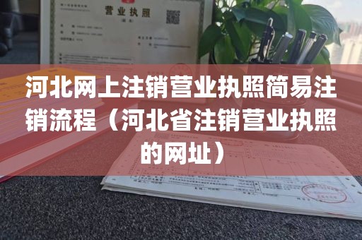 河北网上注销营业执照简易注销流程（河北省注销营业执照的网址）