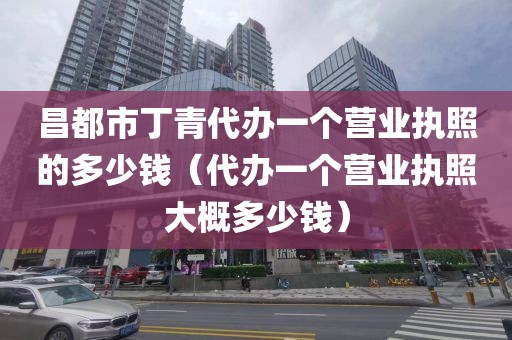 昌都市丁青代办一个营业执照的多少钱（代办一个营业执照大概多少钱）