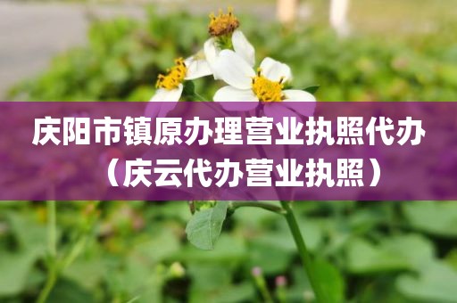庆阳市镇原办理营业执照代办（庆云代办营业执照）
