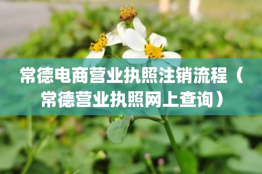 常德电商营业执照注销流程（常德营业执照网上查询）