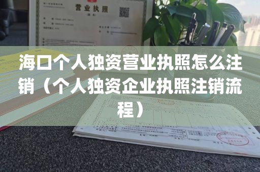 海口个人独资营业执照怎么注销（个人独资企业执照注销流程）