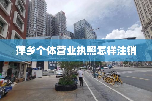 萍乡个体营业执照怎样注销