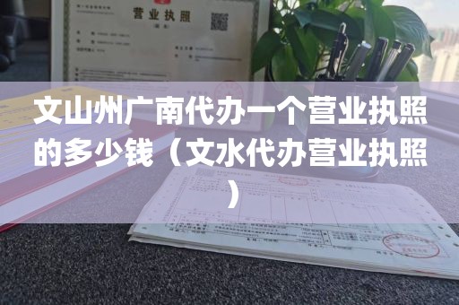 文山州广南代办一个营业执照的多少钱（文水代办营业执照）