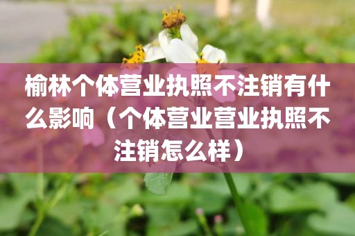 榆林个体营业执照不注销有什么影响（个体营业营业执照不注销怎么样）