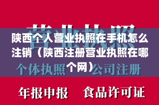 陕西个人营业执照在手机怎么注销（陕西注册营业执照在哪个网）