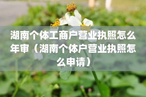 湖南个体工商户营业执照怎么年审（湖南个体户营业执照怎么申请）