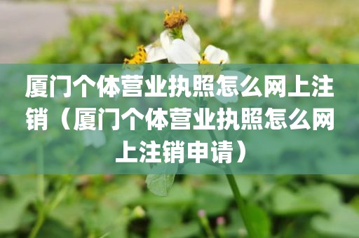 厦门个体营业执照怎么网上注销（厦门个体营业执照怎么网上注销申请）