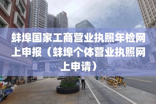 蚌埠国家工商营业执照年检网上申报(蚌埠个体营业执照网上申请)