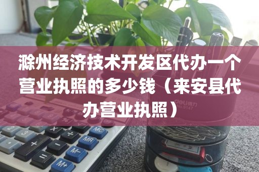 滁州经济技术开发区代办一个营业执照的多少钱（来安县代办营业执照）