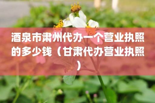 酒泉市肃州代办一个营业执照的多少钱（甘肃代办营业执照）