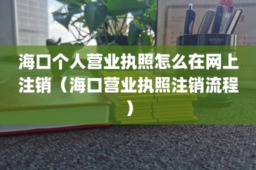 海口个人营业执照怎么在网上注销（海口营业执照注销流程）