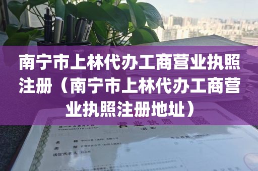南宁市上林代办工商营业执照注册(南宁市上林代办工商营业执照注册地址)