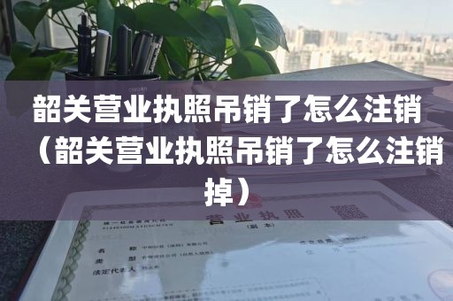 韶关营业执照吊销了怎么注销（韶关营业执照吊销了怎么注销掉）