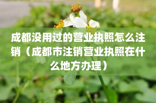 成都没用过的营业执照怎么注销（成都市注销营业执照在什么地方办理）