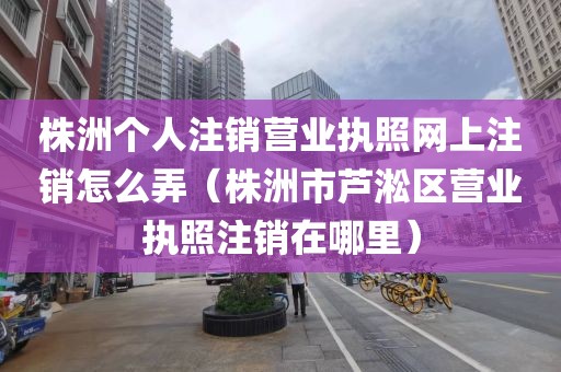 株洲个人注销营业执照网上注销怎么弄（株洲市芦淞区营业执照注销在哪里）