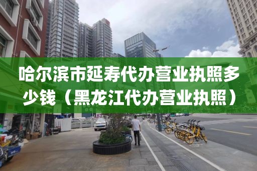 哈尔滨市延寿代办营业执照多少钱(黑龙江代办营业执照)