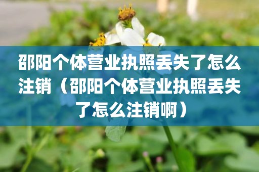 邵阳个体营业执照丢失了怎么注销(邵阳个体营业执照丢失了怎么注销啊)