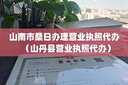 山南市桑日办理营业执照代办（山丹县营业执照代办）