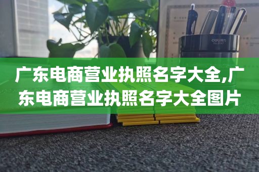 广东电商营业执照名字大全,广东电商营业执照名字大全图片
