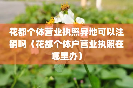 花都个体营业执照异地可以注销吗（花都个体户营业执照在哪里办）