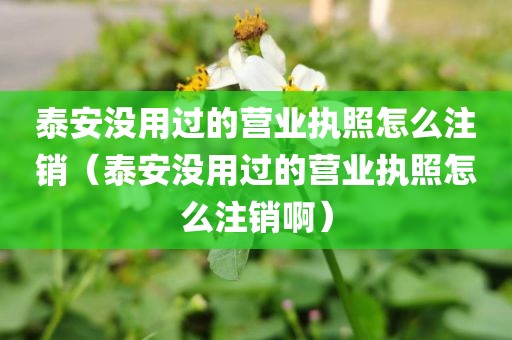 泰安没用过的营业执照怎么注销(泰安没用过的营业执照怎么注销啊)