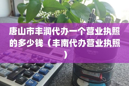 唐山市丰润代办一个营业执照的多少钱(丰南代办营业执照)