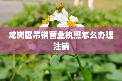 龙岗区吊销营业执照怎么办理注销