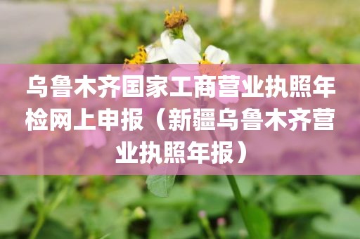 乌鲁木齐国家工商营业执照年检网上申报（新疆乌鲁木齐营业执照年报）