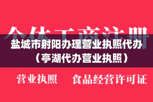 盐城市射阳办理营业执照代办（亭湖代办营业执照）