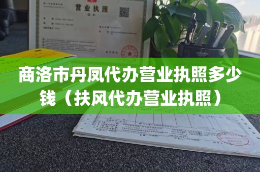商洛市丹凤代办营业执照多少钱（扶风代办营业执照）