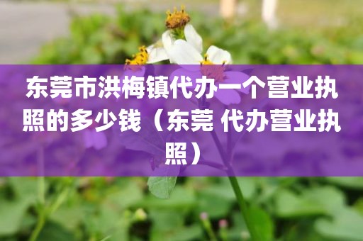 东莞市洪梅镇代办一个营业执照的多少钱（东莞 代办营业执照）