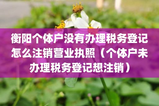 衡阳个体户没有办理税务登记怎么注销营业执照（个体户未办理税务登记想注销）