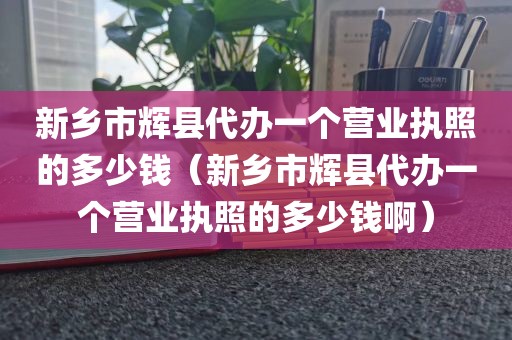 新乡市辉县代办一个营业执照的多少钱（新乡市辉县代办一个营业执照的多少钱啊）