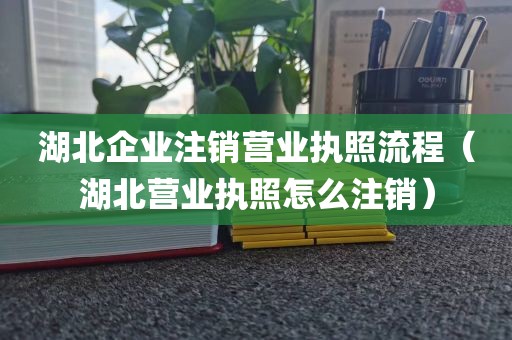 湖北企业注销营业执照流程（湖北营业执照怎么注销）