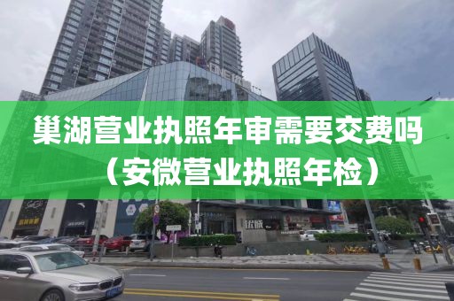 巢湖营业执照年审需要交费吗(安微营业执照年检)