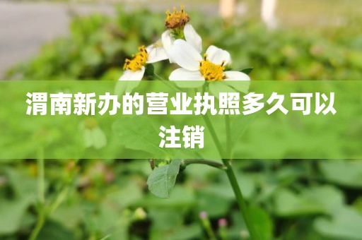 渭南新办的营业执照多久可以注销