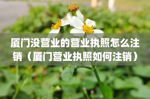 厦门没营业的营业执照怎么注销（厦门营业执照如何注销）