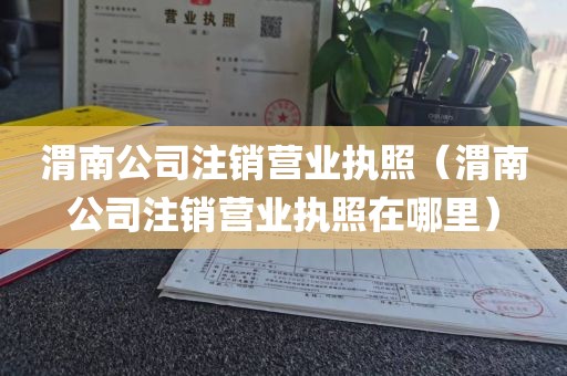 渭南公司注销营业执照（渭南公司注销营业执照在哪里）