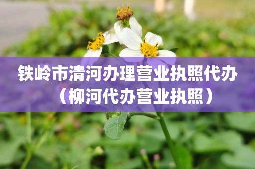 铁岭市清河办理营业执照代办（柳河代办营业执照）