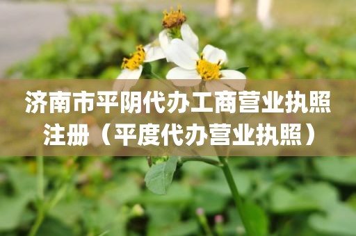 济南市平阴代办工商营业执照注册（平度代办营业执照）