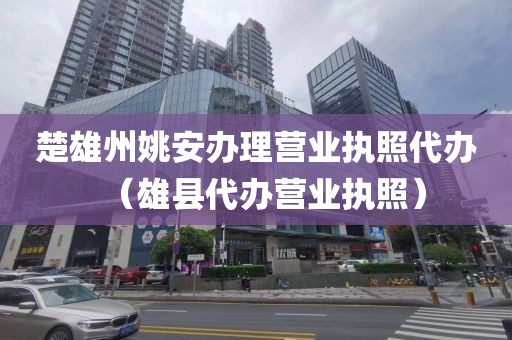 楚雄州姚安办理营业执照代办（雄县代办营业执照）