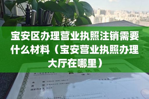 宝安区办理营业执照注销需要什么材料（宝安营业执照办理大厅在哪里）