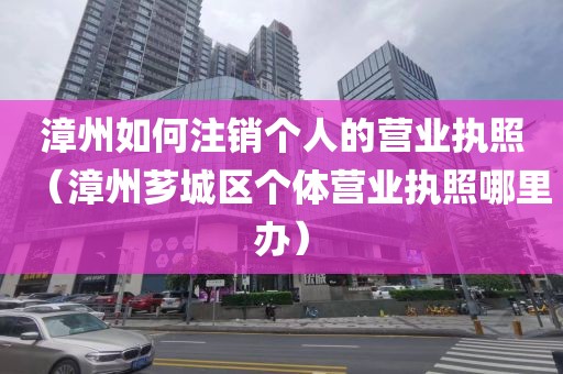 漳州如何注销个人的营业执照（漳州芗城区个体营业执照哪里办）