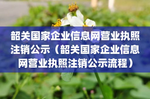 韶关国家企业信息网营业执照注销公示（韶关国家企业信息网营业执照注销公示流程）