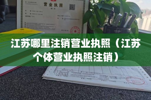 江苏哪里注销营业执照（江苏个体营业执照注销）