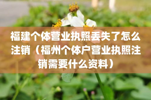 福建个体营业执照丢失了怎么注销（福州个体户营业执照注销需要什么资料）