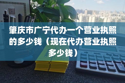 肇庆市广宁代办一个营业执照的多少钱（现在代办营业执照多少钱）