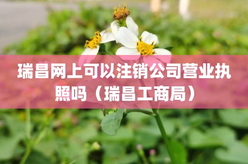 瑞昌网上可以注销公司营业执照吗（瑞昌工商局）