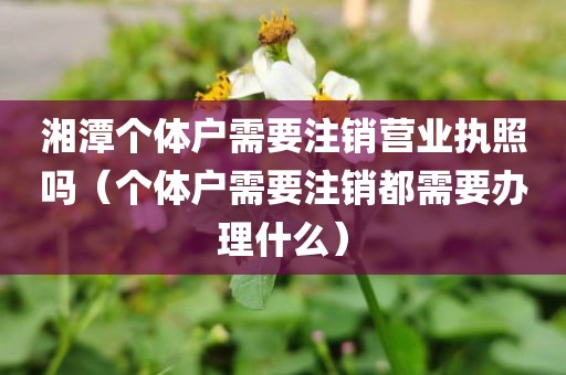 湘潭个体户需要注销营业执照吗(个体户需要注销都需要办理什么)