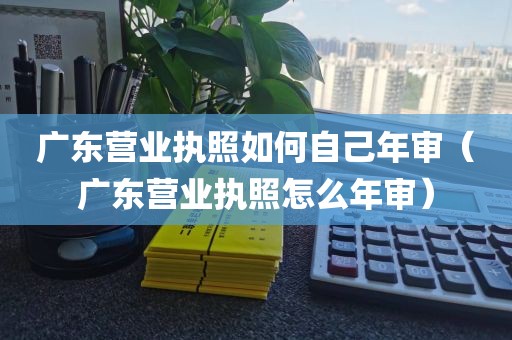 广东营业执照如何自己年审（广东营业执照怎么年审）